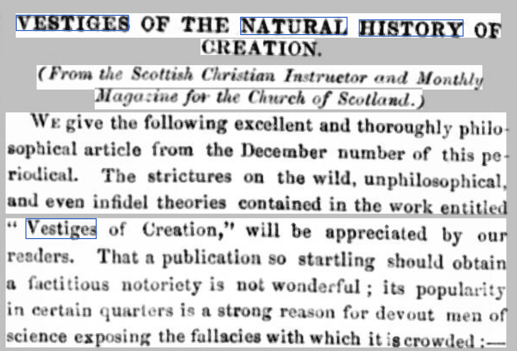 Original Newspaper Clipping